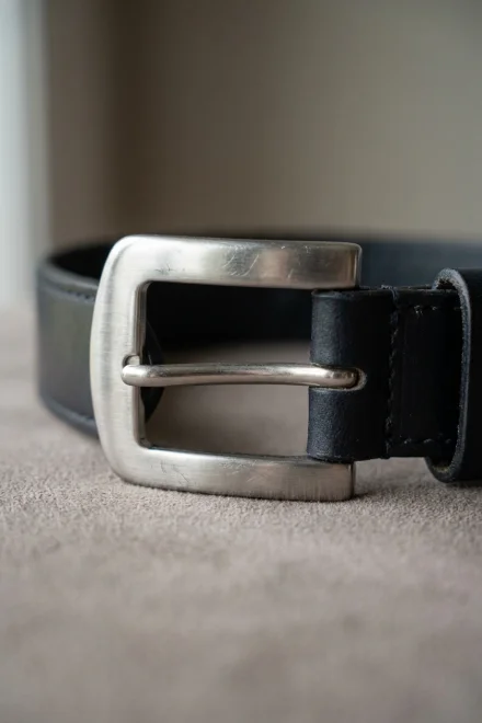 Detail of stainless steel buckle on a dog collar