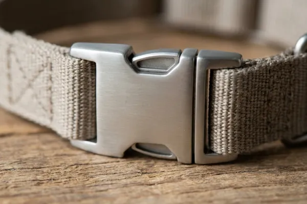 Close-up of a dog collar buckle made of hypoallergenic material to prevent dermatitis