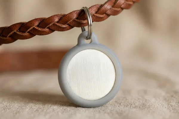 Close-up of an ID tag with a silicone protector to prevent noise on the dog collar