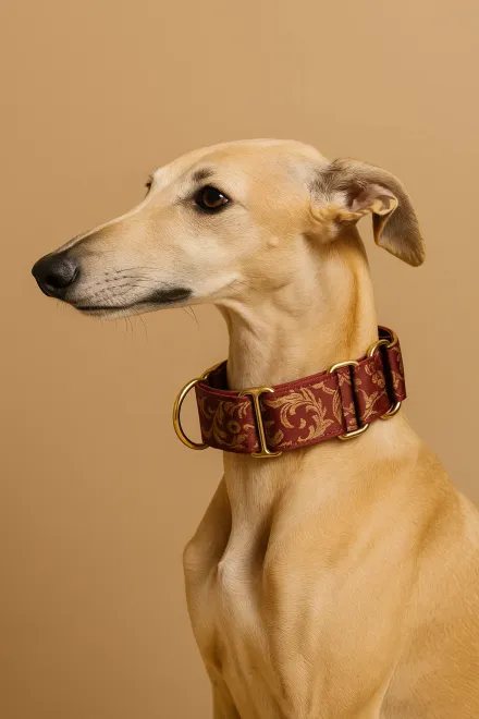 Martingale collar for dog