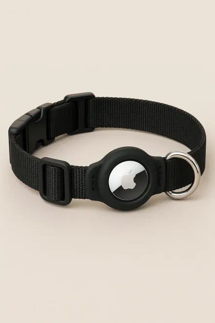 How to choose an AirTag dog collar