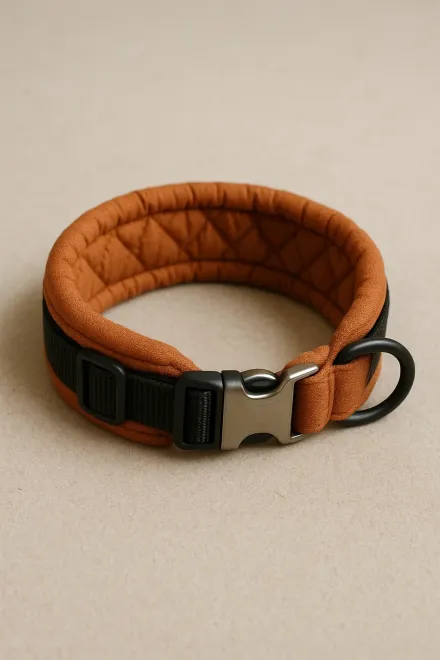 Large dog wearing a black padded collar on a walk