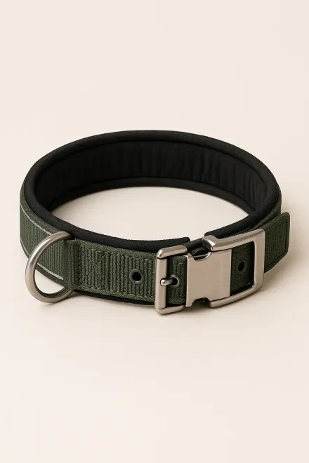 Points clés pour choisir un collier de grand chien