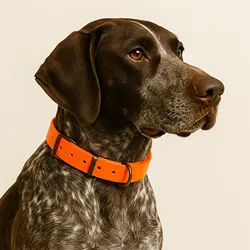 Hunting Dog Collar