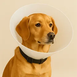 Cone Dog Collars