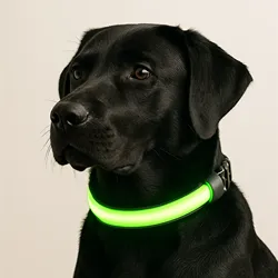LED Dog Collars